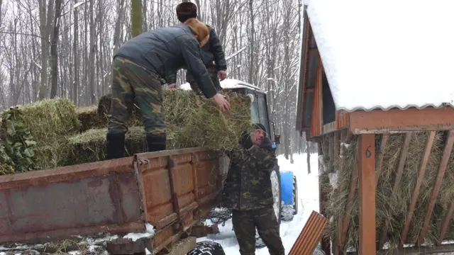 господарство