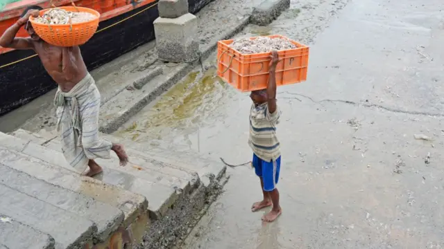 માછીમારીની પ્રવૃતિ