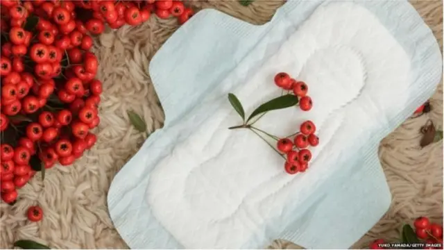 मासिक पाळी