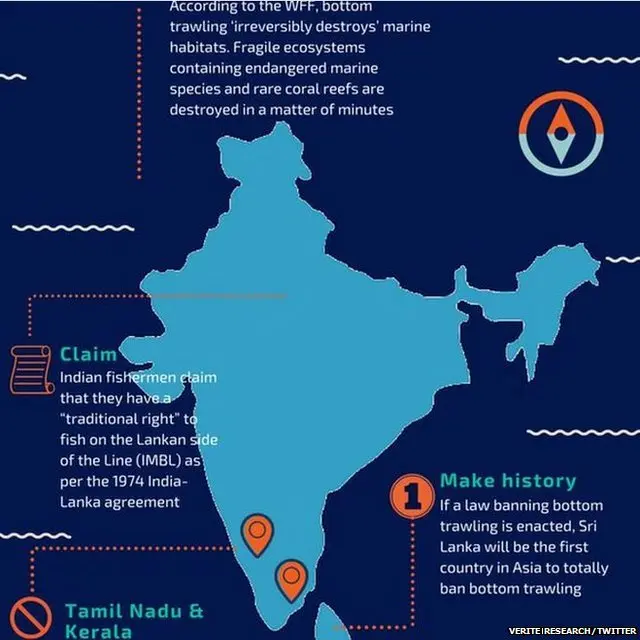 verite research/twitter