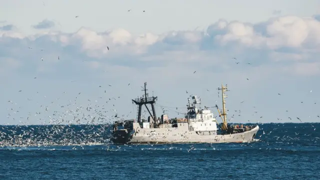 Un barco pesquero de arrastre.