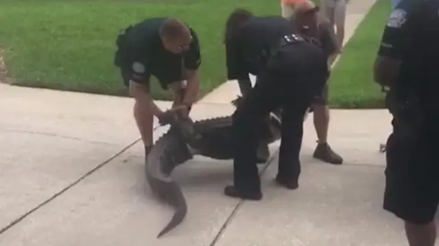 গত জুনে ফ্লোরিডার এক বাড়িতে কুমিরের আক্রমণে মারা যান একজন নারী