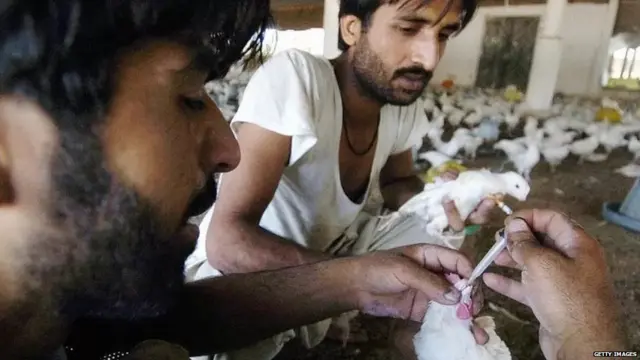 पाकिस्तान