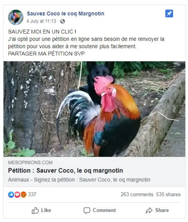 Le propriétaire de Coco a créé une page Facebook et lancé une pétition pour sauver son animal.
