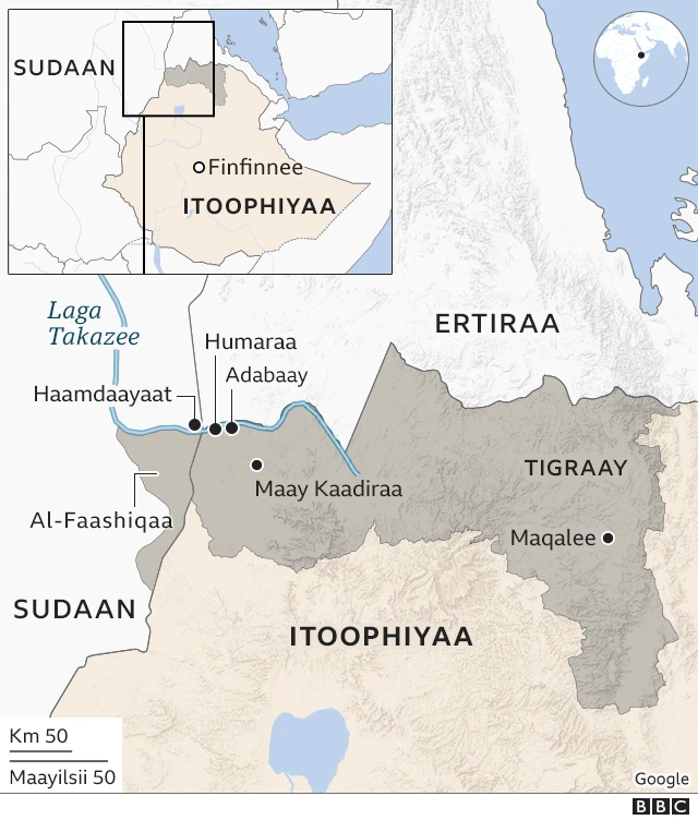 Daangaalee Naannoo Amaaraa fi Tigraay