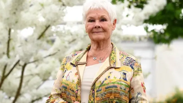 英国著名演员朱迪·丹奇享受切尔西花展