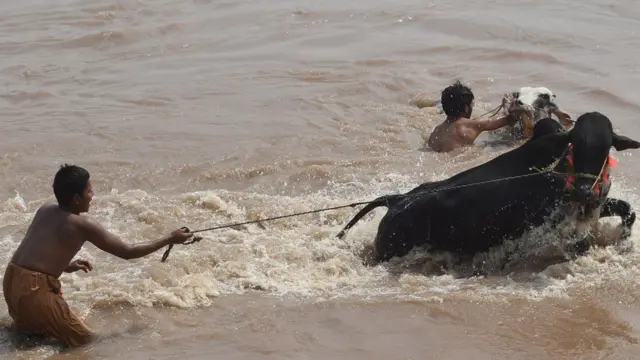 لاہور، راوی