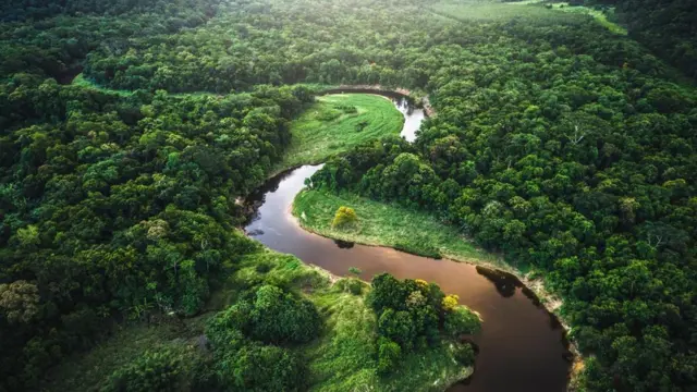 منابع طبیعی سرشار برزیل به رشد اقتصادی این کشور کمک کرده