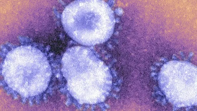 கொரோனா வைரஸ் சார்ஸ் தாக்குதலை விஞ்சியது - 12 தகவல்கள்