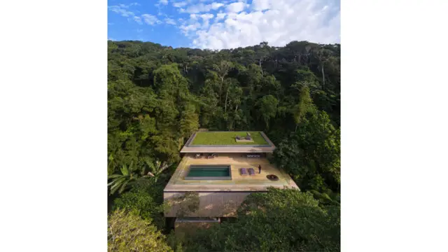 дом в джунглях