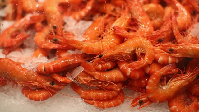 Морепродукти