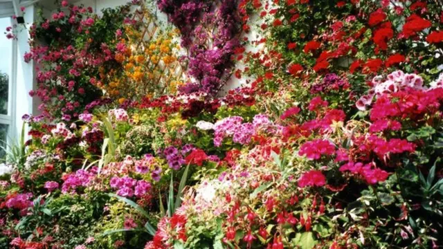 Квіти біля замку Балморал