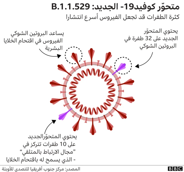 لماذا تعد التغيرات في النتوءات البروتينية مهمة؟
