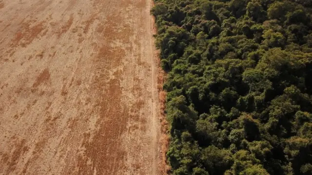 Trecho desmatado da floresta amazônica