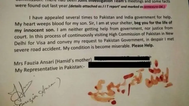 हामिद अन्सारी, पाकिस्तान