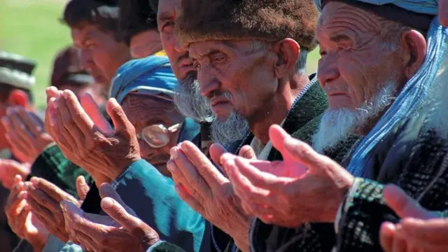 Juda qopol xoroz jinsiy aloqa