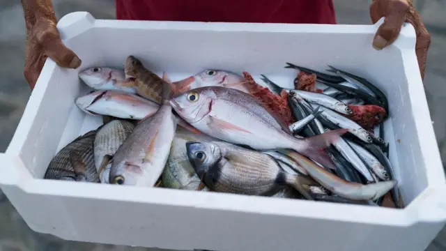 Una bandeja con pescado