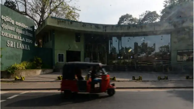 දෙහිවල සිංහයාට කොරෝනා වැළදීම සිදුව ඇත්තේ මිනිසෙකුගෙන් වෛරසය අසාදනය වීමෙන් බවට අනුමාන කළ හැකි බව පේරාදෙණිය විශ්වවිද්යාලයේ, පශු සායනික වෛද්ය පීඨයේ මහාචාර්ය අශෝක දංගොල්ල බීබීසී සිංහල සේවයට කියා සිටියේය.