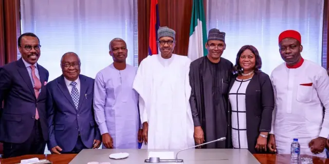 Dr. Doyin Salami biography: Adedoyin Salami, President Buhari new Chief Economic Adviser