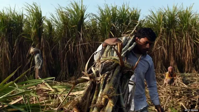 પ્રતીકાત્મક તસ્વીર