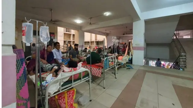 ডেঙ্গু আক্রান্তদের অনেকেই জানেন না যে ঠিক কিভাবে ডেঙ্গুতে আক্রান্ত হয়েছেন তারা