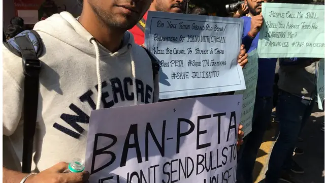 जल्‍लीकट्टू