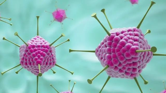 கொரோனா வைரஸ்