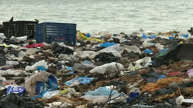 మైక్రో ప్లాస్టిక్ ప్రమాదం