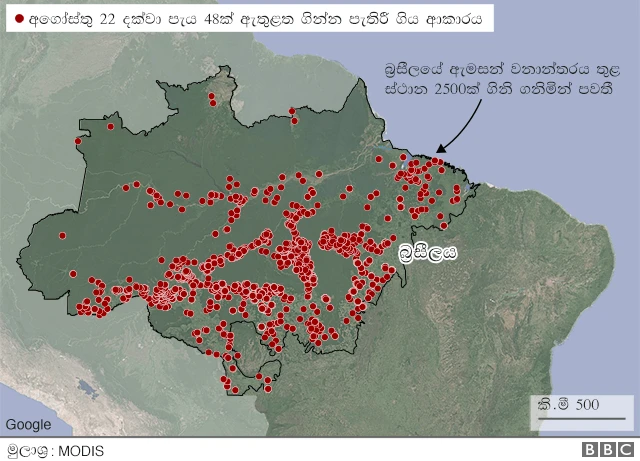 ඇමසන්