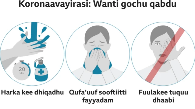 Malawwan koronaavaayirasii ittiin ofirraa ittisan ijoo fakiin