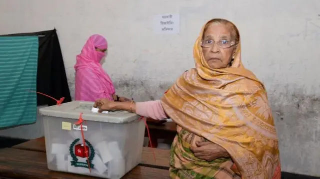 ভোট দিচ্ছেন ভোটার