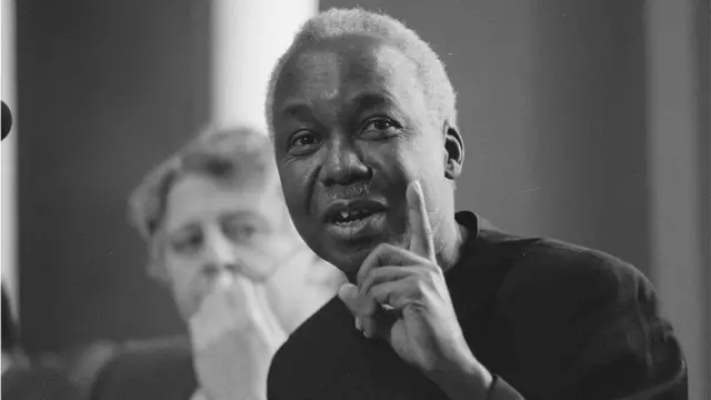 Nje ya Tanzania Nyerere alisifiwa na kuheshimika kwa kujitoa kwa hali na mali kusaidia ukombozi wa nchi za Afrika