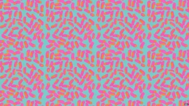 ਬੈਕਟੀਰੀਆ