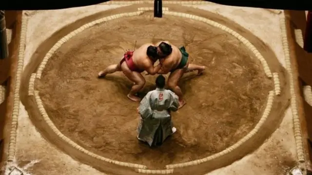 sumo