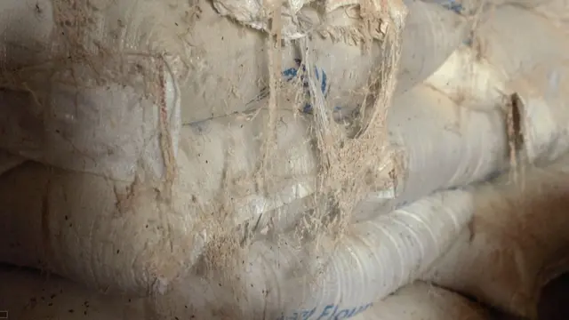 ኣብ መኻዚኖታት ዝዕሱ መግቢ ውድብ መግብን ሕርሻን