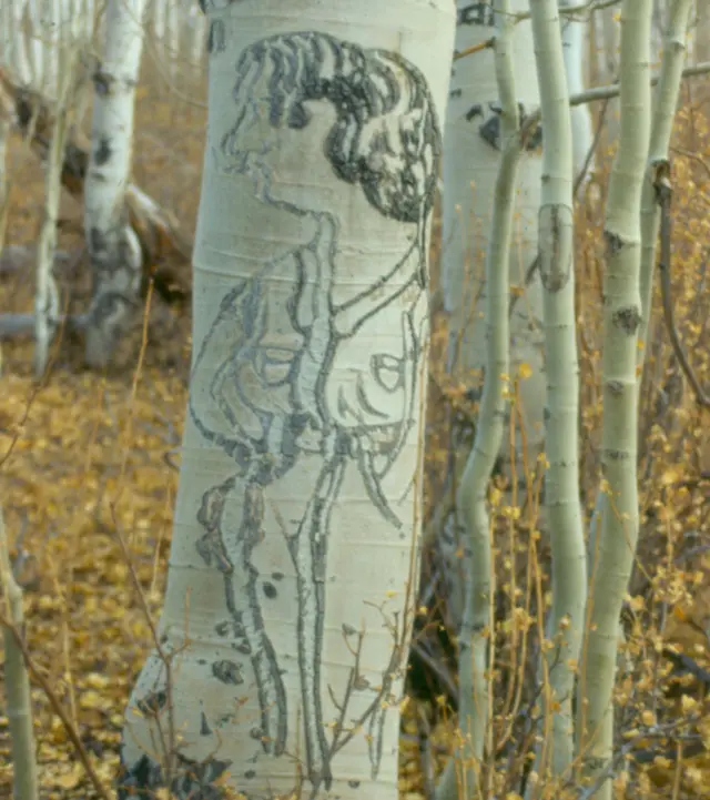 Dibujo de una mujer usando un uniforme militar.