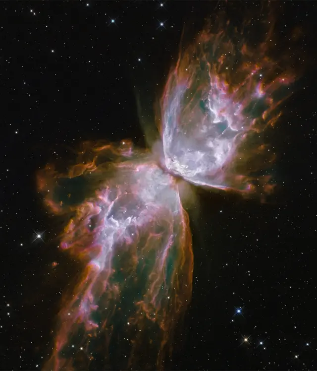 Nebulosa Borboleta