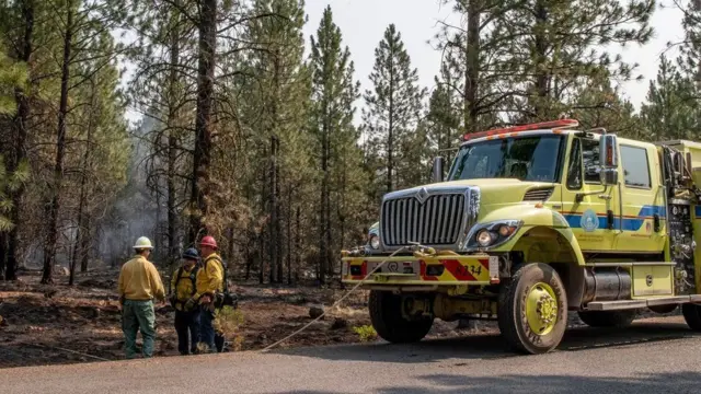 अमेरिका के जंगलों में आग
