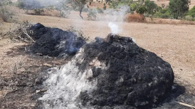 የተቃጠለ እህል ክምር