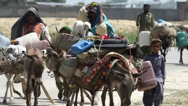 గాడిదలపై రవాణా