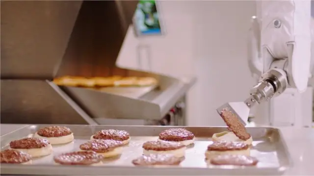 فلیپی روبات