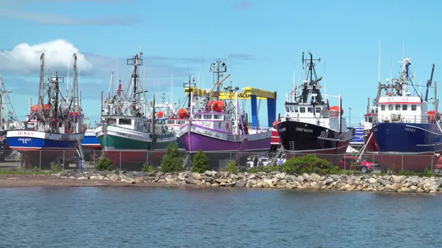 Snow crab fishing boats in dry dock in Shippagan, New Brunswick