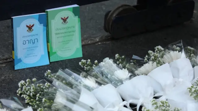 ประมวลกฎหมายอาญาและประมวลกฎหมายวิธีพิจารณาความอาญาถูกนำมาวางเป็นสัญลักษณ์