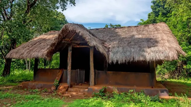 ఒకప్పుడు శ్రీలంక భూభాగమంతటా నివసించిన వెడ్డాలు ఇప్పుడు మధ్య, తీర ప్రాంతాలకు పరిమితమయ్యారు