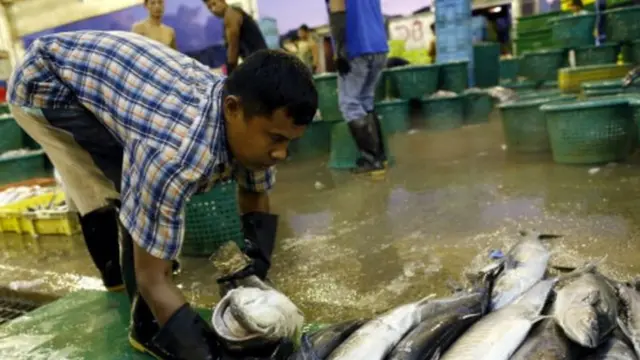 မြန်မာအလုပ်သမားတွေဟာ ထိုင်းနိုင်ငံက ငါးနဲ့ အထည်ချုပ် လုပ်ငန်းတွေမှာ အဓိက လုပ်ကိုင် နေကြတာ ဖြစ်ပါတယ်