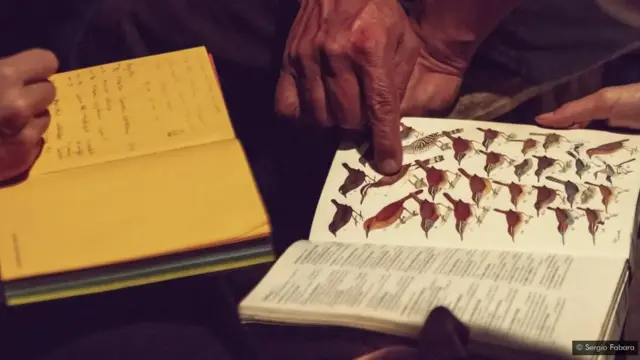 Les naturalistes consultent les manuels scolaires au cas où ils auraient découvert une toute nouvelle espèce