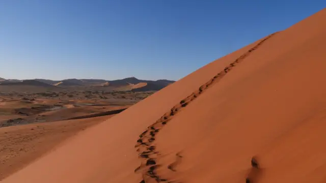 Дюни Намибии