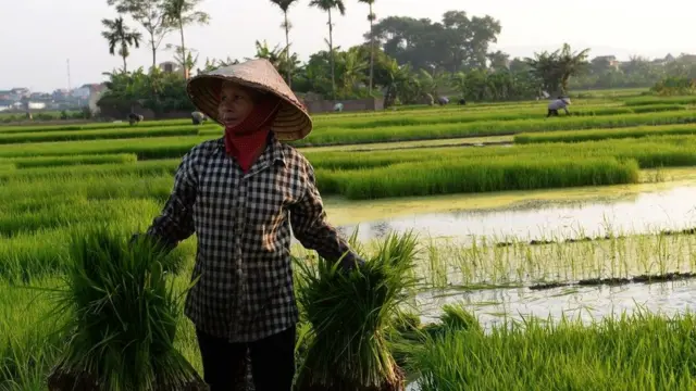 Người nông dân Việt Nam không có quyền tư hữu ruộng đất