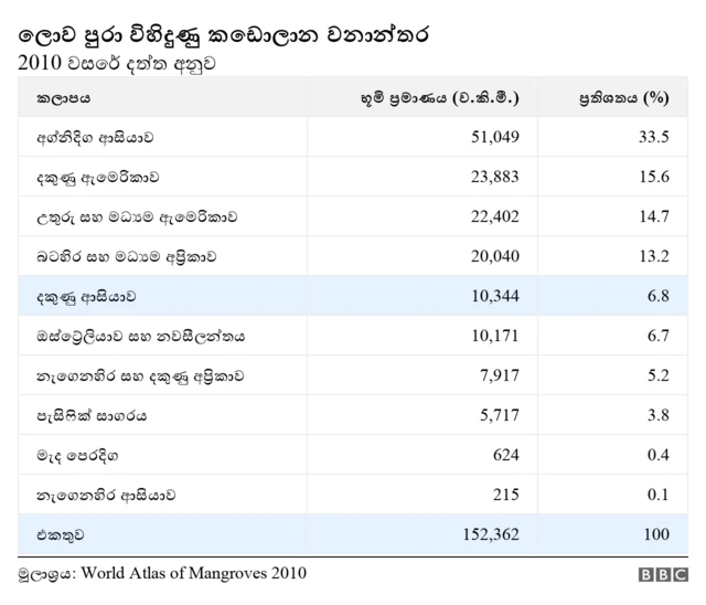 කඩොලාන වනාන්තර