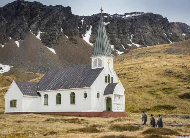 ਪੈਂਗਵਿਨ, ਕਾਰਲ ਹੈਨਰੀ